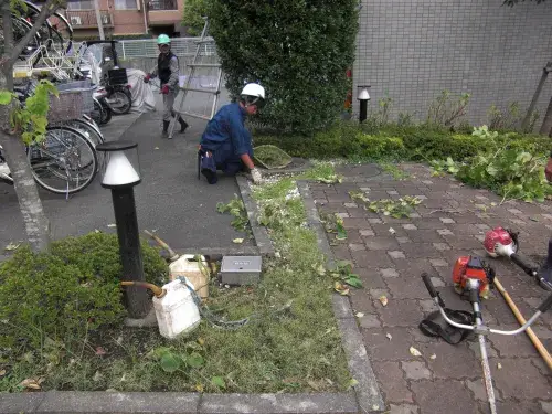 造園について仕事を通して触れてもらうため、東京都立園芸高校生徒のインターンシップを毎年行っております。