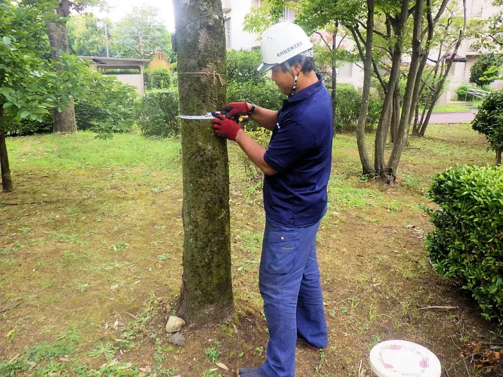 まずはやる気があればOK！自然や緑、樹木が好きな方をお待ちしております。